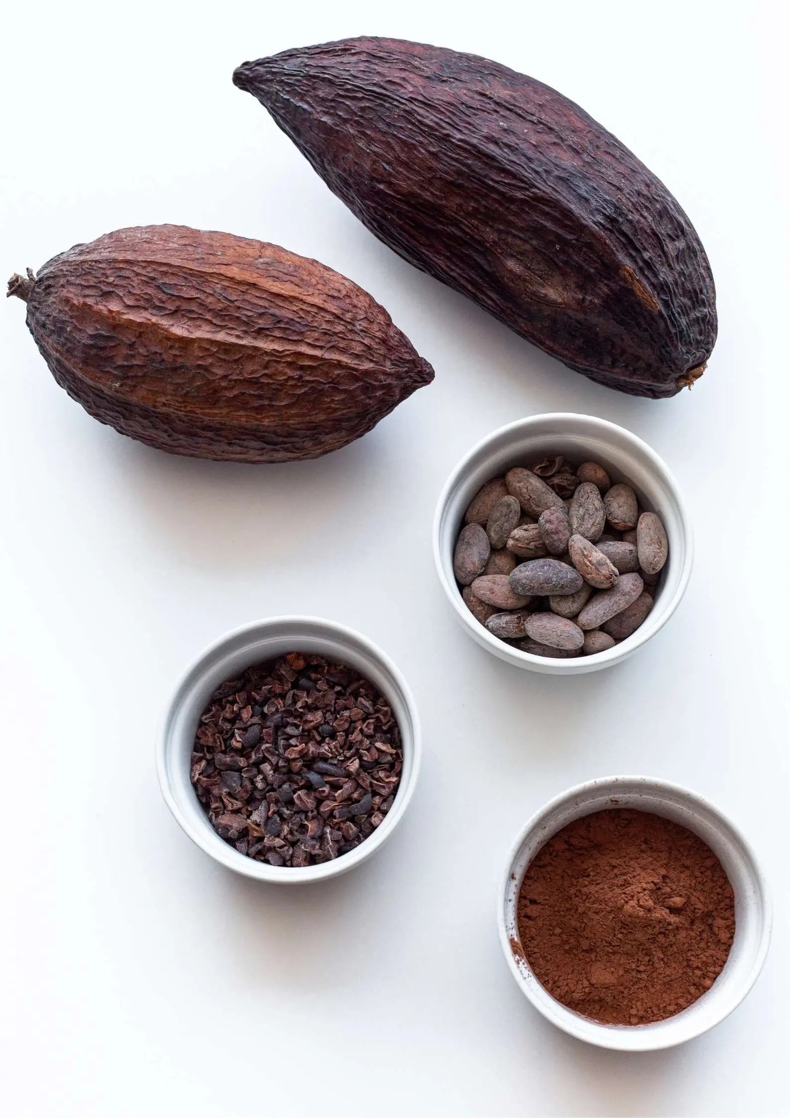 Caffeeegy.Co authentic cocoa flavors powder with cocoa pods and nibs