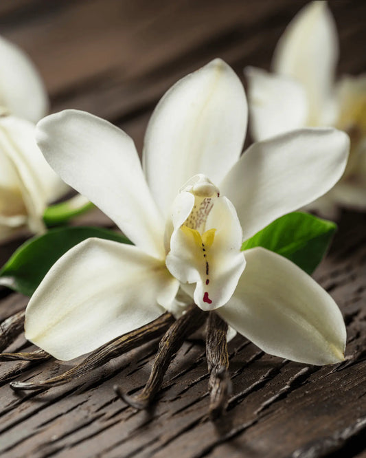 Caffeeegy.Co best vanilla powder for lattes with vanilla flower and pods on wooden surface